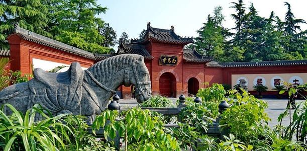 河南-风起洛阳zg